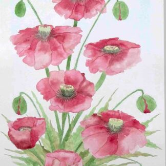 Watercolour painting of Abstract Red Poppy on a bank by Irish artist. Buy paintings for your home or office 100% hassle free shopping